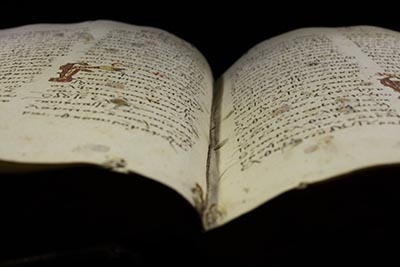 قائمة المخطوطة الكلارومنتية وقانونية العهد الجديد - القمص عبد المسيح بسيط (300م)