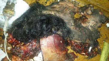 شاهد للكبار فقط أشلاء رأس الانتحاري منفذ انفجار كنيسة طنطا +18 4 2a1ce1e0a24ec1c609e02a7b7a27a7d7.jpgw460q90 7 شاهد للكبار فقط أشلاء رأس الانتحاري منفذ انفجار كنيسة طنطا +18