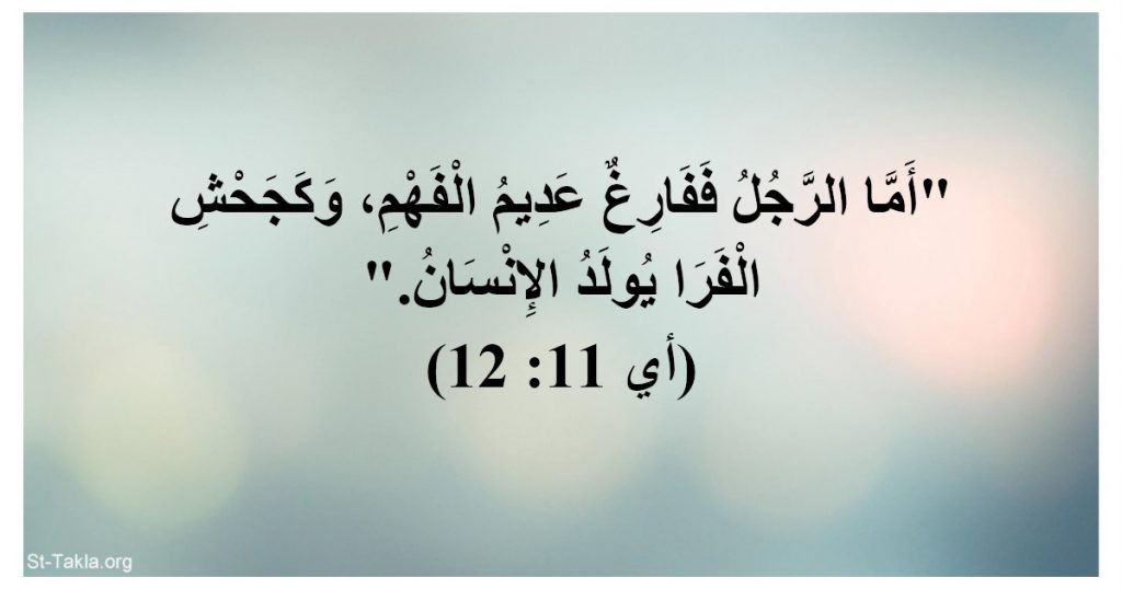 اما الرجل ففارغ عديم الفهم و كجحش الفراء يولد الانسان.