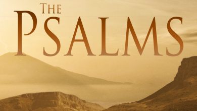 سفر المزامير - دراسة شاملة مركزة في سفر المزامير