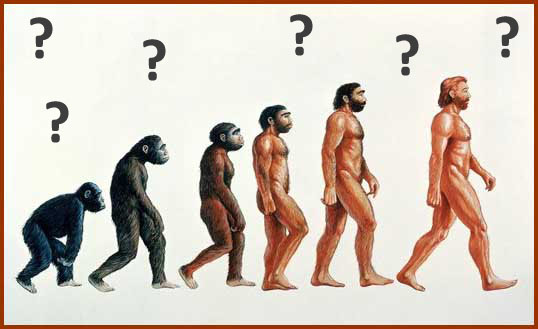 Monkey Man2 copy1 1 5 الرد على تطور الانسان من قرد -رداً على تساؤلات ملحد حول التكوين