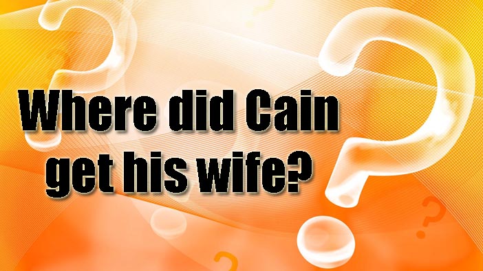 GENESIS 4:17—Where did Cain get his wife? where did cain get his wife 1