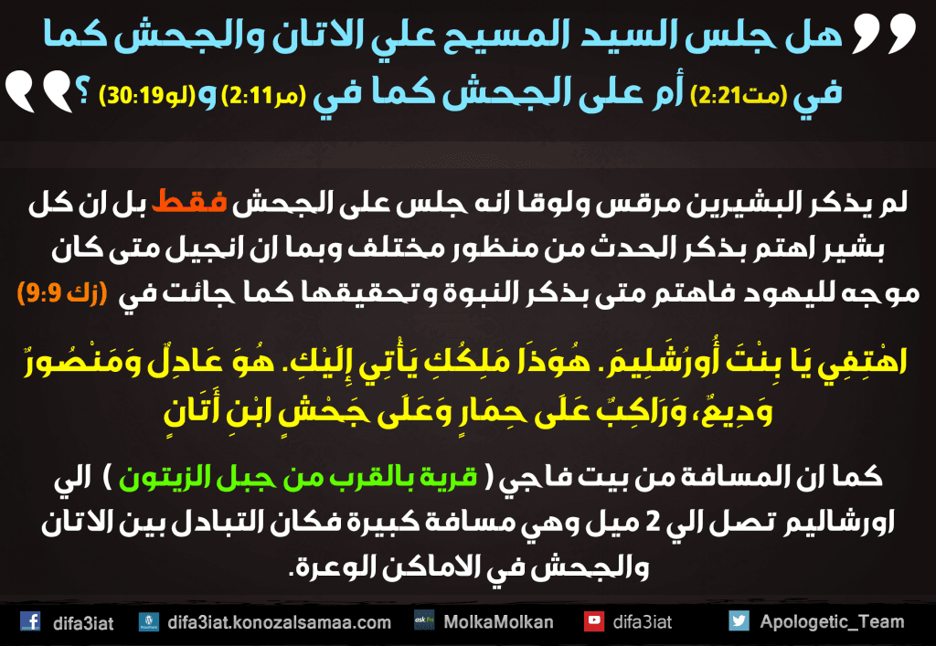 هل جلس المسيح على جحش واتان معا أم الجحش فقط؟