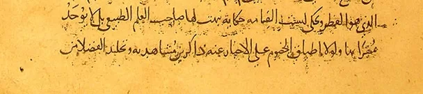 شهادة أبو الريحان البيروني (٩٧٣م - ١٠٥٠م) عن النور المقدّس.