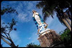 coptstoday 1440165639 2 10 coptstoday-1440165639