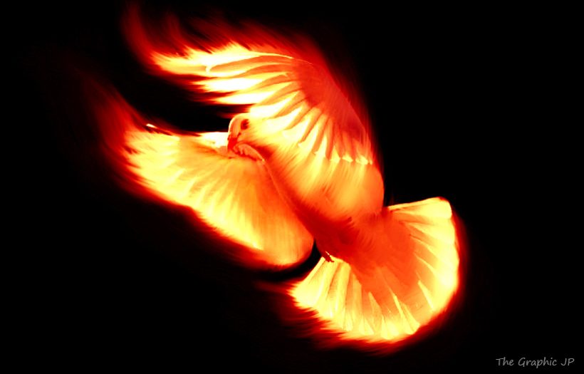 الروح القدس ووحدانية الثالوث القدوس في تعليم ق. اثناسيوس الرسولي