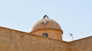 98723 098js987z 1 8 98723_098js987z_