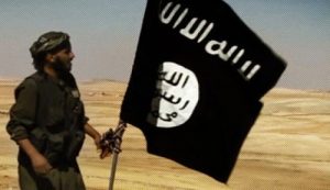 23 32490823 1 7 23_32490823_