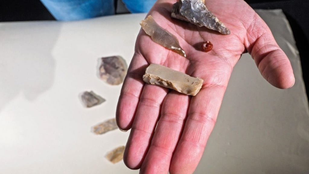 1808265901 21 ظهور أقدم شهادة للاستيطان في أورشليم قبل 7000 عامًا