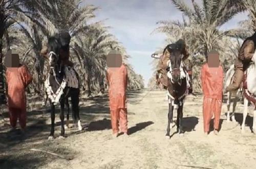 بالصور | "داعش" يبتكر أسلوبا جديدا في عمليات التعذيب والإعدام