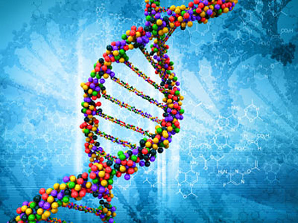 برهان المعلومات الحيوية - تحدي الـ DNA جـ1