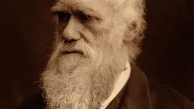 كيف احتدم النقاش حول آراء داروين؟ وكيف كانت أيامه الأخيرة؟