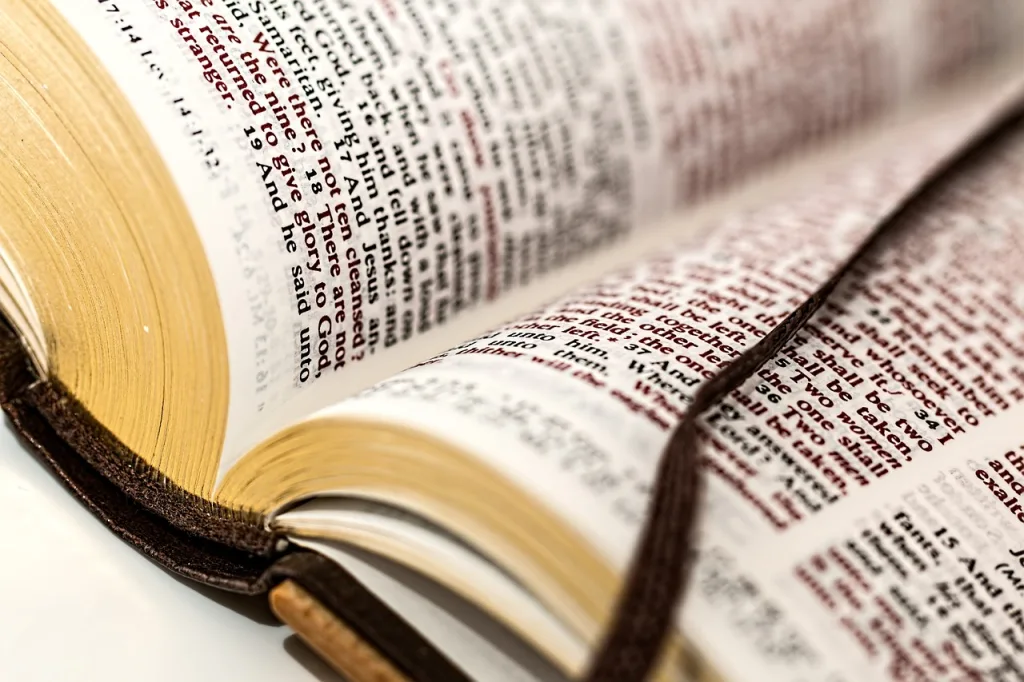الصعوبات التي تواجهنا في فهم بعض آيات الكتاب المقدس