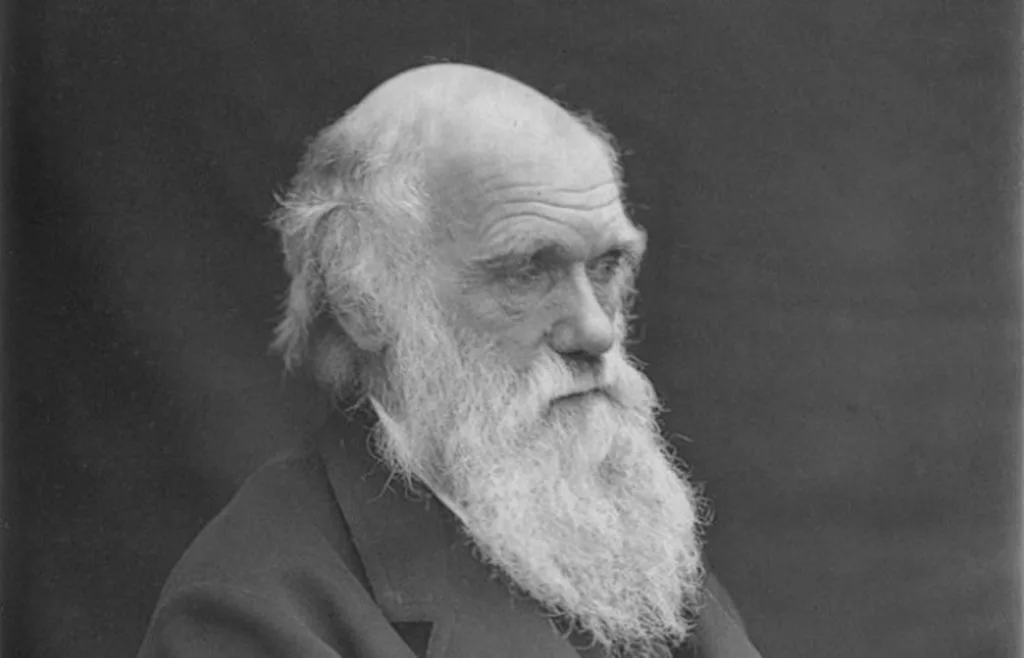 ما هي الأسس التي بني عليها داروين نظريته في الانتخاب الطبيعي؟