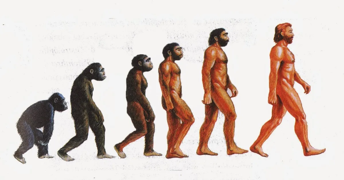 ما هي الفروض التي اعتمدت عليها نظرية التطور عن طريق الطفرة؟