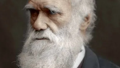 هل يمكن إلقاء الضوء على نشأة داروين، ورحلته، ومؤلفاته؟