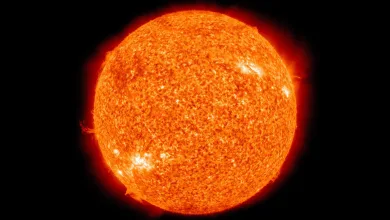 ماذا يقول العلماء عن شمسنا الدافئة؟