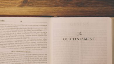 Aren’t Many Old Testament Numbers Wrong?