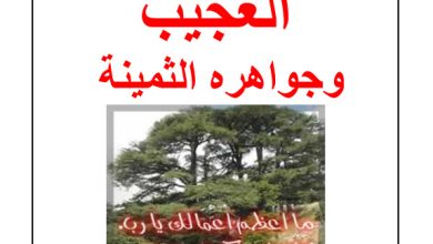 كتاب الاناء العجيب وجواهره الثمينة - المطران سليم الصائغ PDF