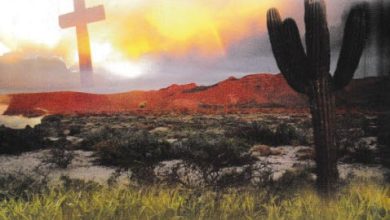 كتاب الحياة المسيحية - حياة البرية والآلام مع المسيح PDF - د. سامي فوزي