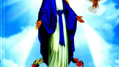 كتاب الأبصلمودية الكيهكية المقدسة PDF - كنيسة السيدة العذراء مريم عزبة النخل