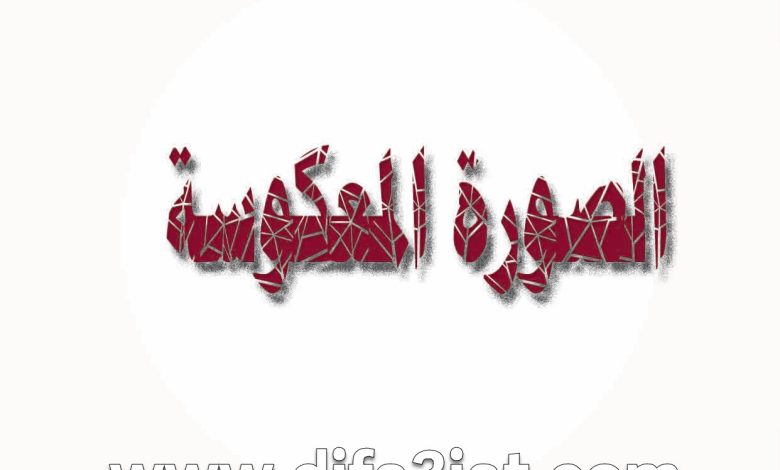 كتاب الصورة المعكوسة PDF