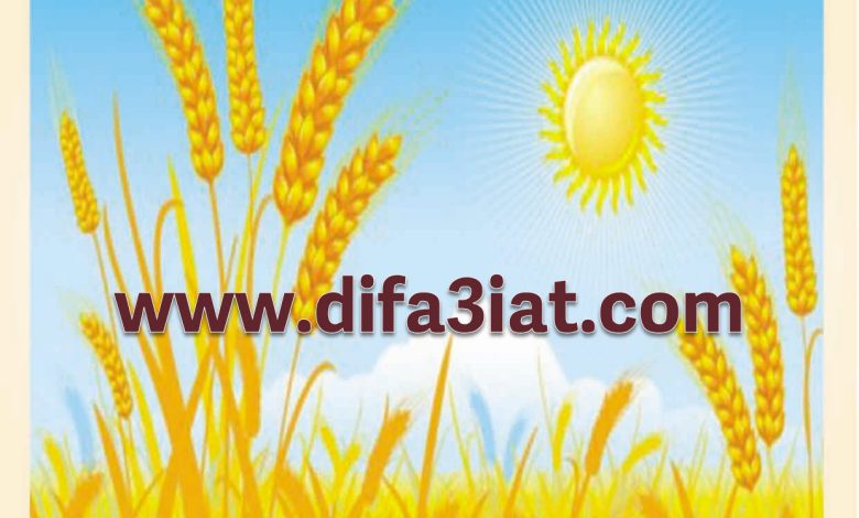 كيف أعمل مع الله؟ مباديء العمل 2 PDF - مبادئ الحياة الروحية - بيت محبة الله الزيتون 6 كيف أعمل مع الله؟ مباديء العمل 2 PDF