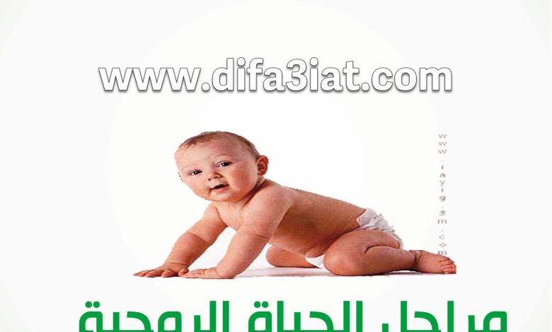 مراحل الحياة الروحية 1 مرحلة الطفولة والمشاعر PDF - مبادئ الحياة الروحية - بيت محبة الله الزيتون 8 مراحل الحياة الروحية 1 مرحلة الطفولة والمشاعر PDF
