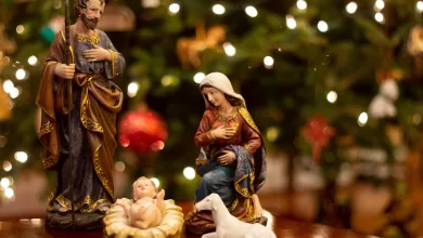 ميلاد المسيح بالجسد – عظة 2 – إنجيل لوقا 2 – ق. كيرلس الإسكندري – د. نصحى عبد الشهيد