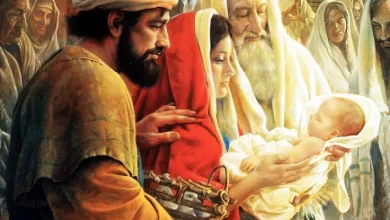 عيد الختان – عظة 3 – إنجيل لوقا 2 – ق. كيرلس الإسكندري – د. نصحى عبد الشهيد