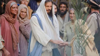 يسوع يدخل أورشليم – إنجيل لوقا 19 ج3 – ق. كيرلس الإسكندري – د. نصحى عبد الشهيد