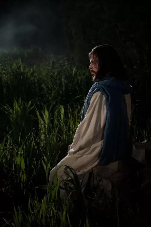 يسوع يصلي – إنجيل لوقا 22 ج6 – ق. كيرلس الإسكندري – د. نصحى عبد الشهيد