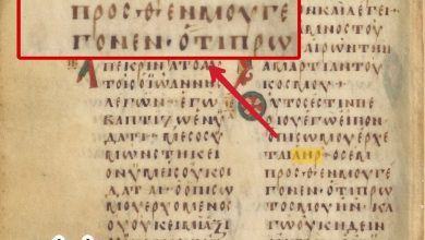 صورة لنص يوحنا 30:1 فى المخطوطة (L, 019) حيث أخطأ الناسخ, فكتب "αηρ" بدلًا من "ανηρ".