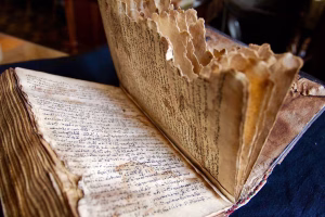 عدد المتغيرات النصية في العهد الجديد اليوناني: تقدير مقترح - بيتر جوري - ترجمة: آرثر دانيال