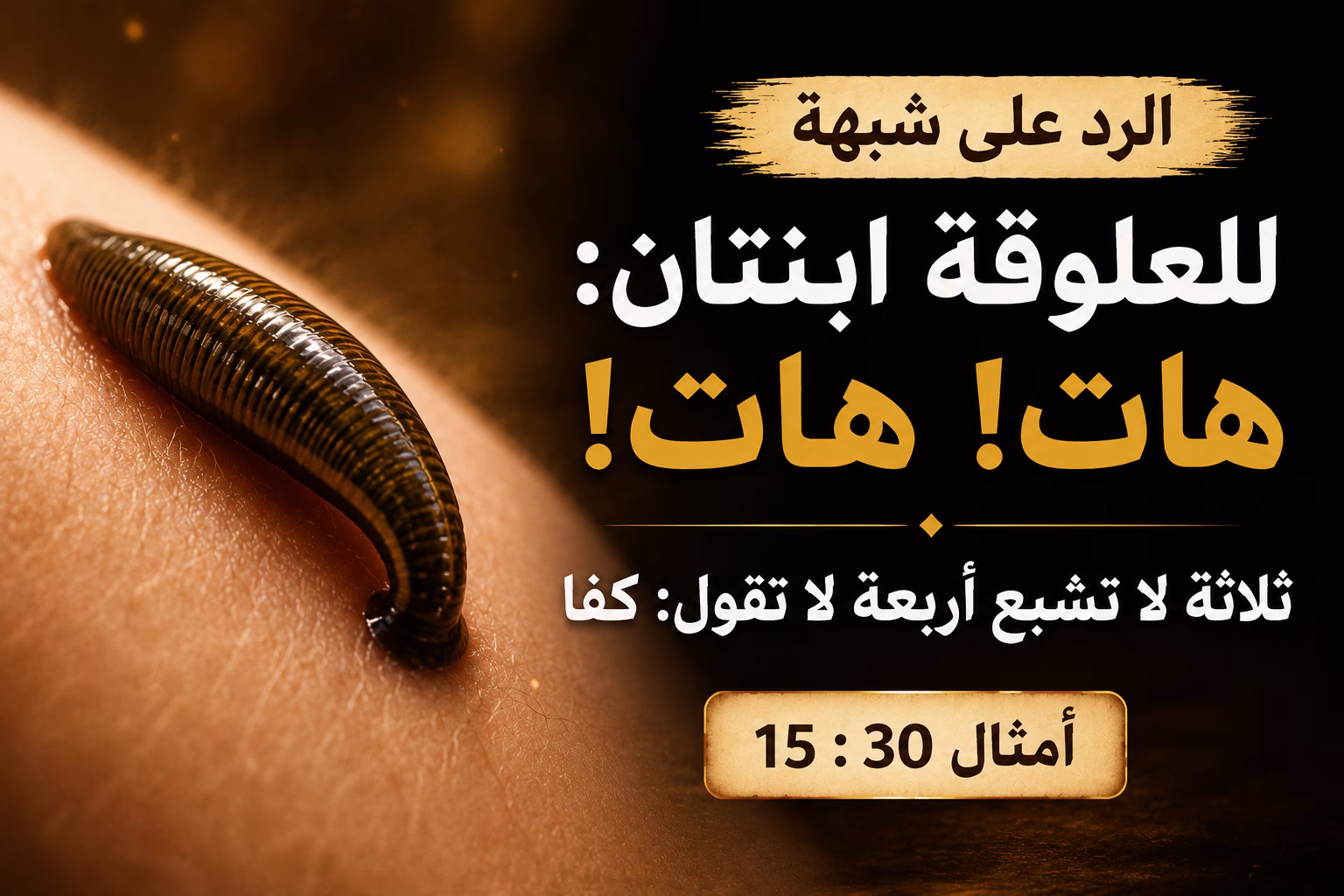 الرد على شبهة: «للعلوقة بنتان: هات هات! ثلاثة لا تشبع، أربعة لا تقول: كفا» — أمثال 30: 15