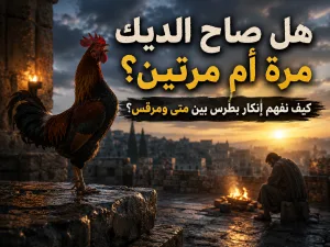 difa3iat.com 2026 06 12 11 14 58 444429 12 هل صاح الديك مرة واحدة أم مرتين عند إنكار بطرس للمسيح؟ كيف نفهم الاختلاف بين متى ويوحنا من جهة، ومرقس من جهة أخرى؟
